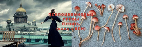 гидра Балабаново