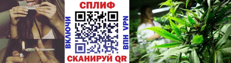 МАРИХУАНА сатива Велиж